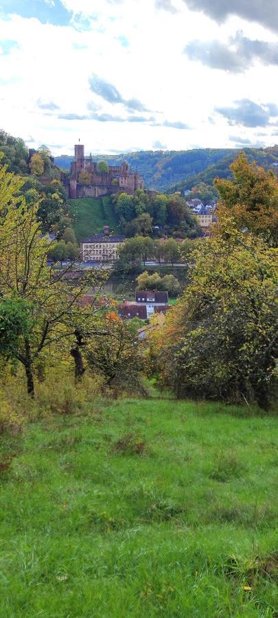 Fewo Traumblick Kreuzwertheim Exterior foto